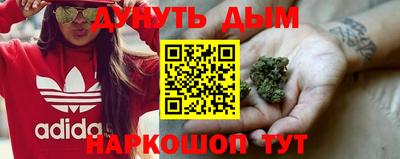 крисы Севастополь