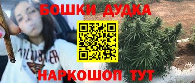 крисы Севастополь