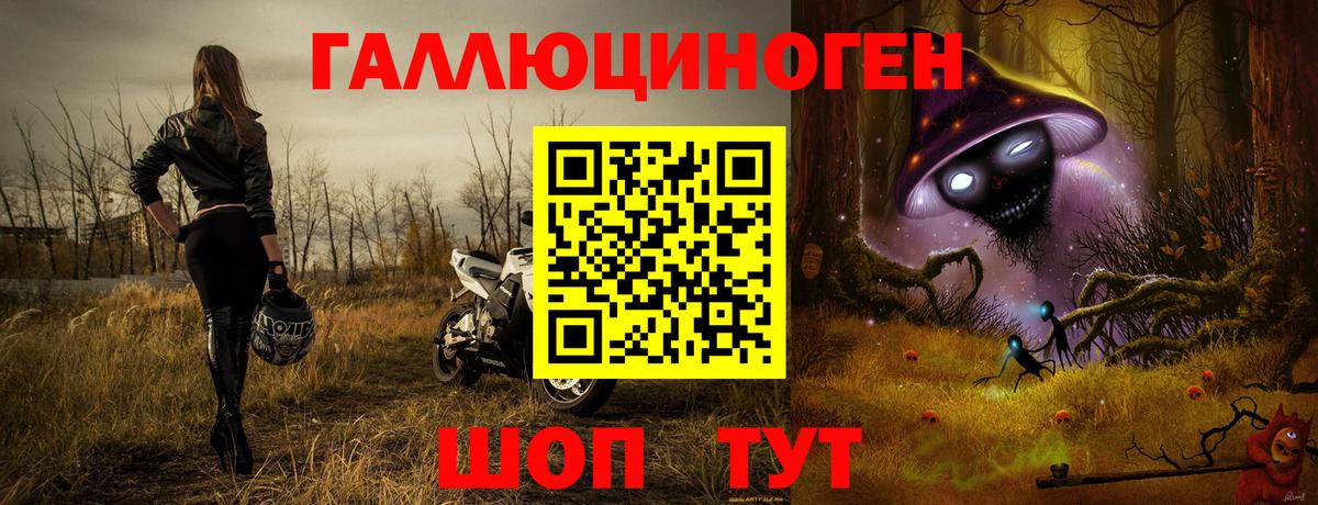 Аргун  Псилоцибиновые грибы прущие грибы  Вход с VPN 