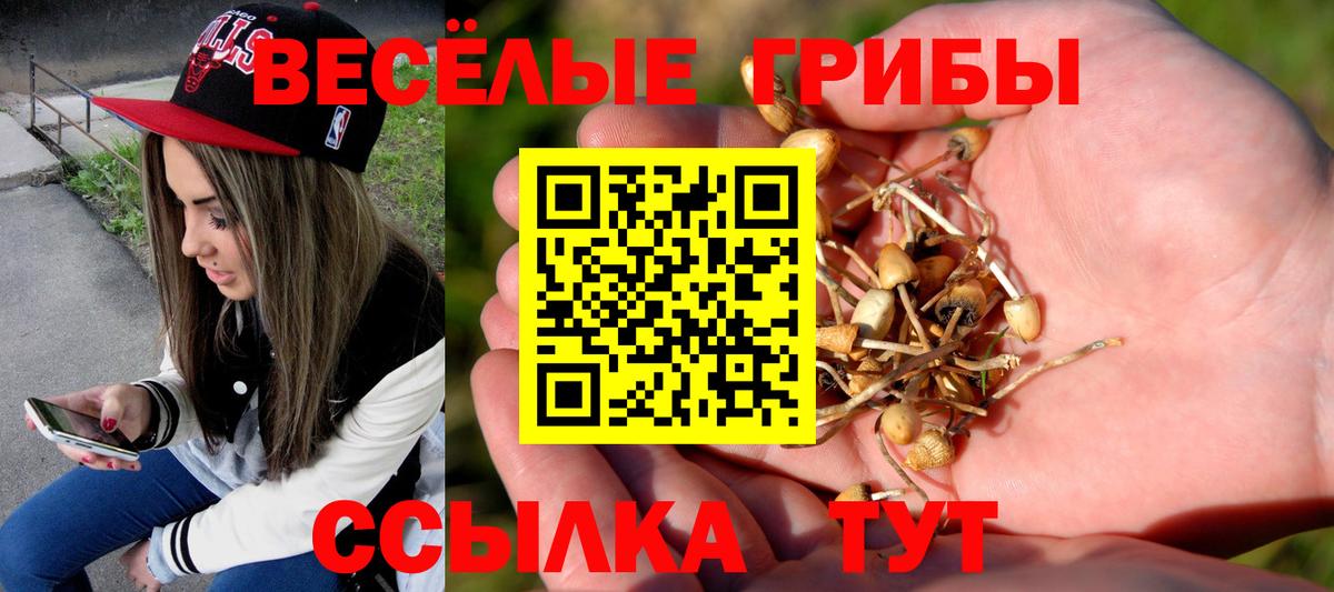 Галлюциногенные грибы MAGIC MUSHROOMS Аргун