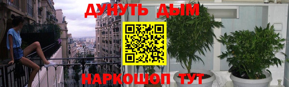 Аргун  МАРИХУАНА планчик  Вход с VPN  Бошки марихуана Ganja  Марихуана White Widow 
